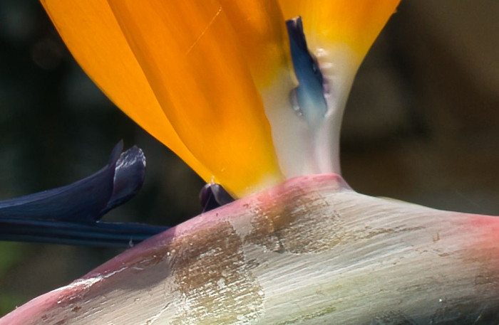Luminar Neo entfernt das Grundrauschen bereits ganz gut. (Bild: Tobias Költzsch/Golem.de)